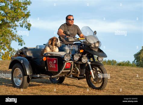Motorcycle With Sidecar Dog