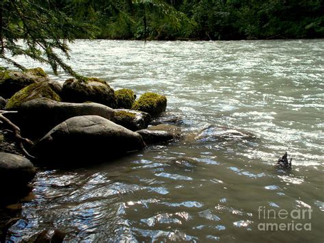 by the river photograph by angelika heidemann fine art america