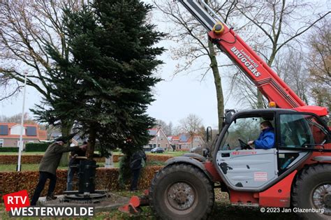 Kerstboom Veele Straalt Weer Westerwolde Actueel