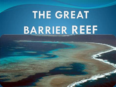 Ppt The Great Barrier Reef Powerpoint Presentation Free Download Id