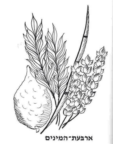 Free ugly christmas sweater coloring sheet for grown ups and kids. ארבעת המינים | סוכות | Pinterest