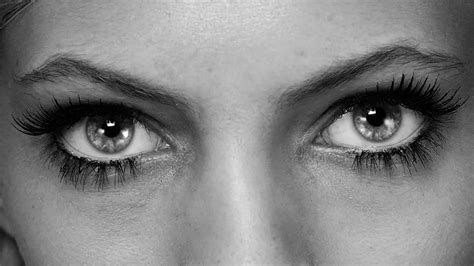 Wallpaper Face Eyes Nose Head Devon Windsor Beauty Eye Black