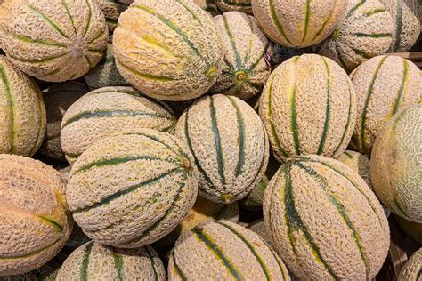 An A-Z of Melons: Fun Facts about Melon Fruit
