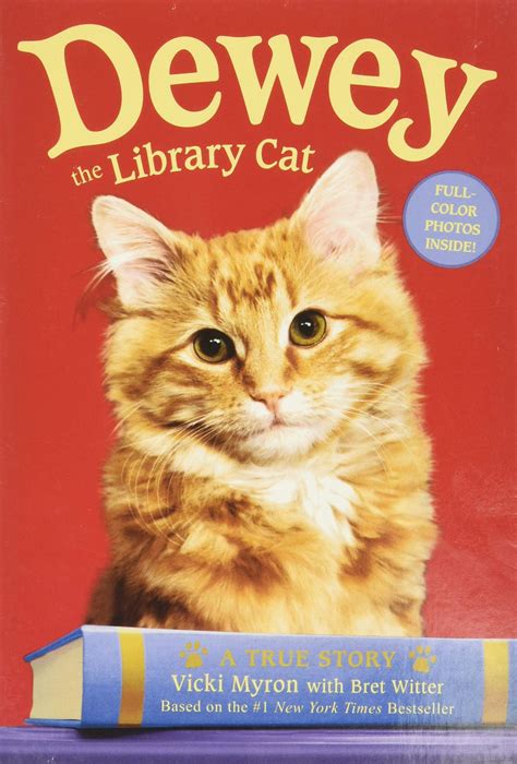The 30 Best Books About Cats For Adults Broke By Books