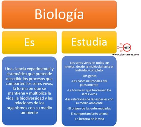 Biología Como Ciencia Biología 1 Cibertareas