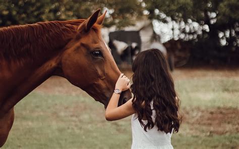 5 Ways To Bond With Your Horse Bonding Dos And Donts Horse