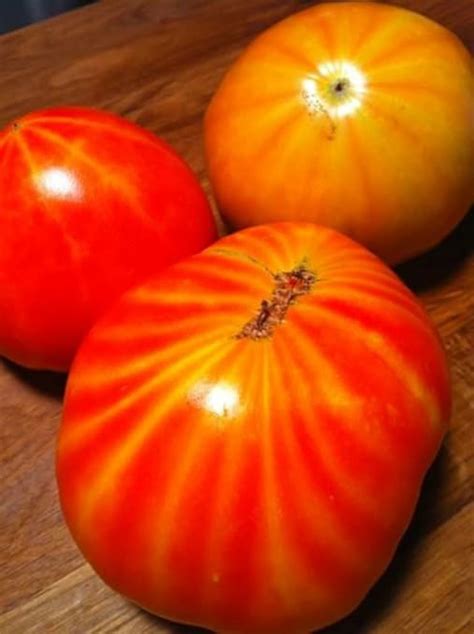 Mr Stripey Tomato Seeds Such A Beautiful Big Tomato Comb