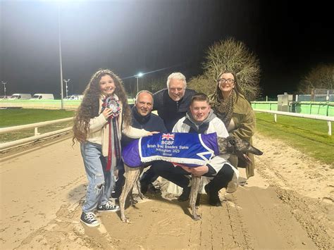 A Hat Trick For Patrick Greyhound Star News From The Greyhound Industry