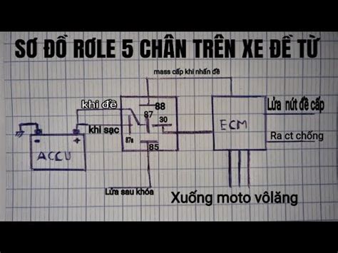 Hiểu đúng về Relay 5 chân trên xe đề từ YouTube