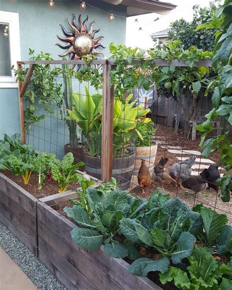 57 idées de potagers à copier d urgence Home vegetable garden