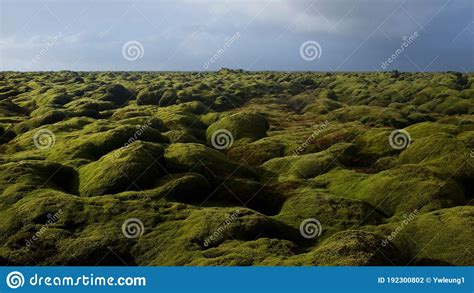 Eldhraun Lava Field Southern Iceland Wide View Stock Photo Image Of