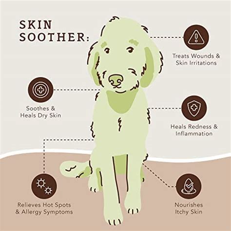 What Can You Put On A Dog With Dry Skin