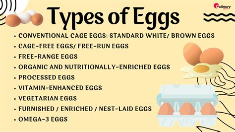 Different Types Of Eggs How To Choose The Right One Culinary Depot