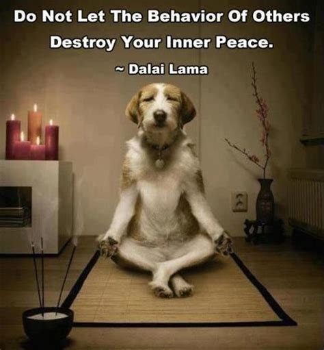 Do Not Let Others Disturb Your Inner Peace Inner Peace Lovable