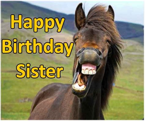 Hi friends, in this article we share with you the best collection of top hilarious funny birthday wishes for brother.also, we share many funny birthdays wishes messages, quotes, funny whatsapp status, greeting cards, text, sms, and images for brother. 25 Funny Birthday Wishes For Sister - Happy Birthday IMG