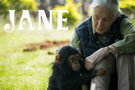 Dr Jane Goodall Reveals What The Planet Needs To Fix Horrible Mess