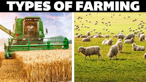 All Types Of Farming Explained Youtube