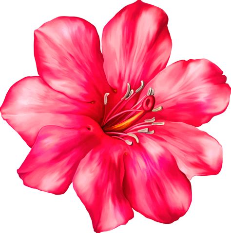 Download Pink Clipart Flower Image Transparent Library Exotic