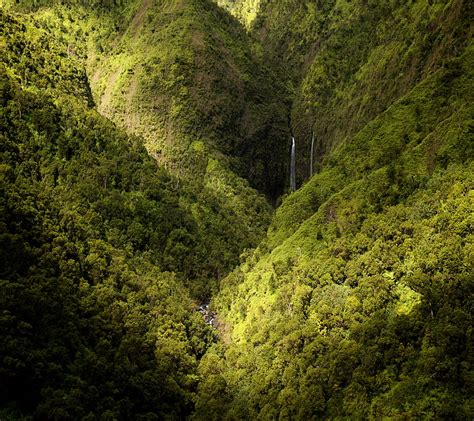 Deep Jungle Forest Hill Tree Waterfall Hd Wallpaper Peakpx