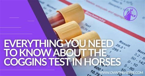 Coggins Test In Horses Everything You Need To Know