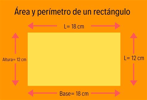 Como Calcular Perimetro Y Area De Un Rectangulo Printable Templates Free