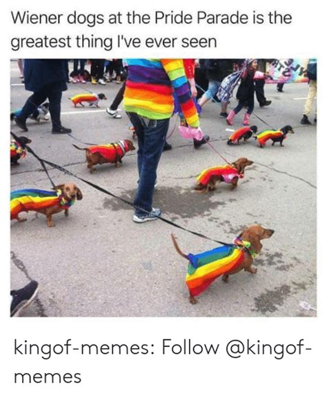 Wiener Dogs At The Pride Parade Is The Greatest Thing Lve Ever Seen