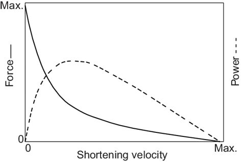 Hills Pioneering Experiments Provided The Force Velocity Curve Shown