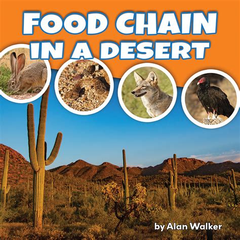 The food chain examines the business, science and cultural significance of food, and what it takes to put food on your plate. Food Chain In A Desert