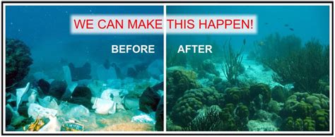 Ocean Before And After Pollution
