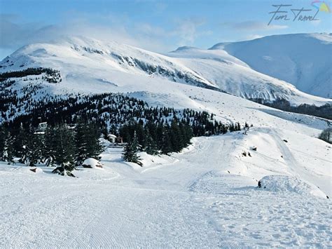 Zlatibor Srbija Skijališta Skijališta Evrope Zima Zimovanje Vodič