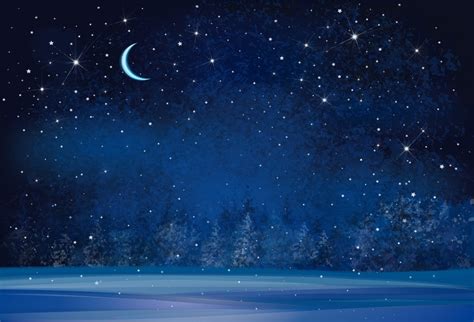 Laeacco Moon Dark Blue Sky Glitter Star Tree Forest Snow