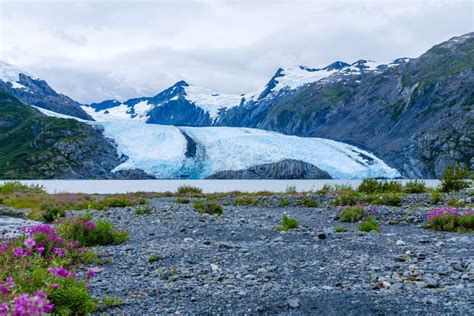 View Of The Portage Glacier In Alaska Usa Stock Image Image Of
