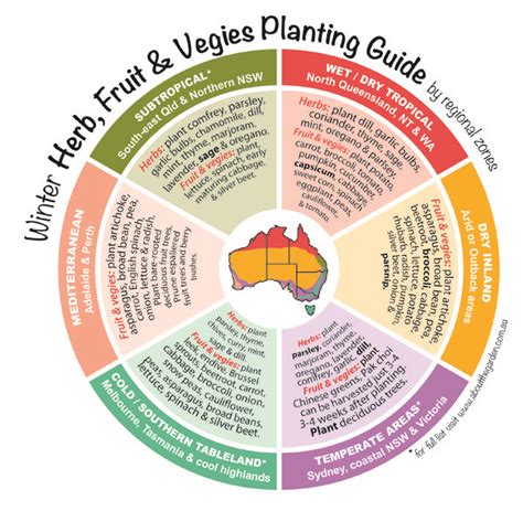 Winter Herbs Fruit Vegies Vegetables Planting Guide Australian