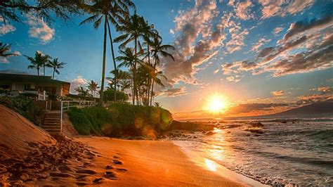 Hawaii Exotic Wallpaper Hd Sea Sand Beach Palms Green Sky With White