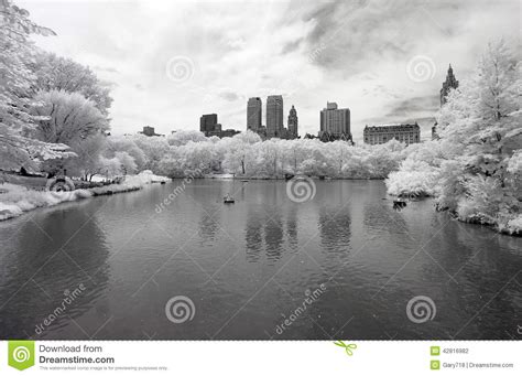 Infrared Image Of The Central Park Stock Photo Image Of Park Tourist