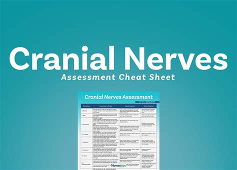 Cranial Nerves Chart And Assessment Cheat Sheet 2020 Nurseslabs