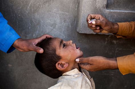 polio s return after near eradication prompts a global health warning the new york times