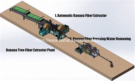 Automatic Banana Tree Fiber Production Line Plantain Banana