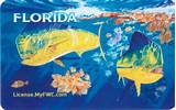 Florida Saltwater Fishing License