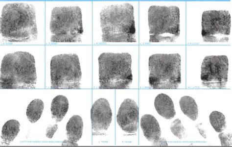 Fingerprint Cards Ink Livescan Criminal Background Check Fbi 24hrs