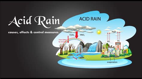 Acid Rain Causes Effects Control Measures Youtube