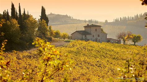 Hd Wallpaper Chianti Classico Vineyards In Fall Tuscany Italy