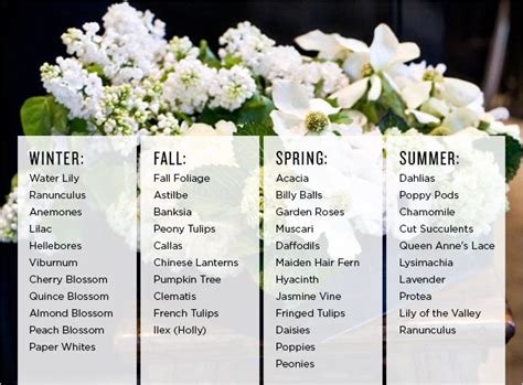 Winter Flowers Name List G4rden Plant
