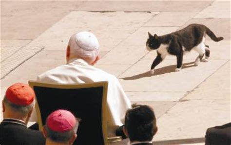 The cat had likely been given its name when lovecraft was about age 9. Was John Paul II a Saint to the Animals? - Earth in Transition