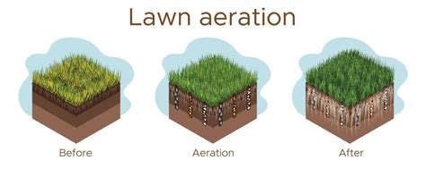 7 Best Lawn Aerators Electric Manual Plug Aerators Uk