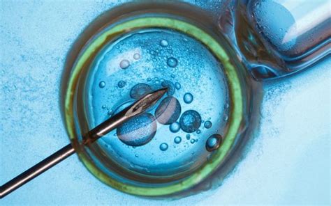 Stepping Into Ivf The Process Before The Treatment Ivf And Fertility