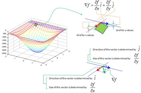 Interpret The Direction Of The Gradient Vector At A Point