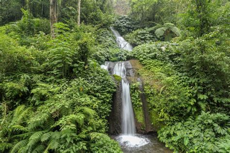 Beautiful Mountain Rainforest Waterfall With Fast Flowing Water Stock