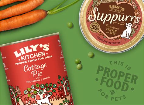 Dry cat food is more economical, but can also be relatively unpalatable compared with raw or wet foods. Natural & Healthy Cat & Dog Food | Lily's Kitchen