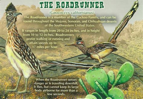 Projek Satu Dunia One World Project The Roadrunner